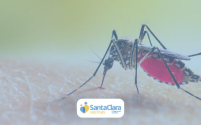 Vacina da Dengue (QDenga)